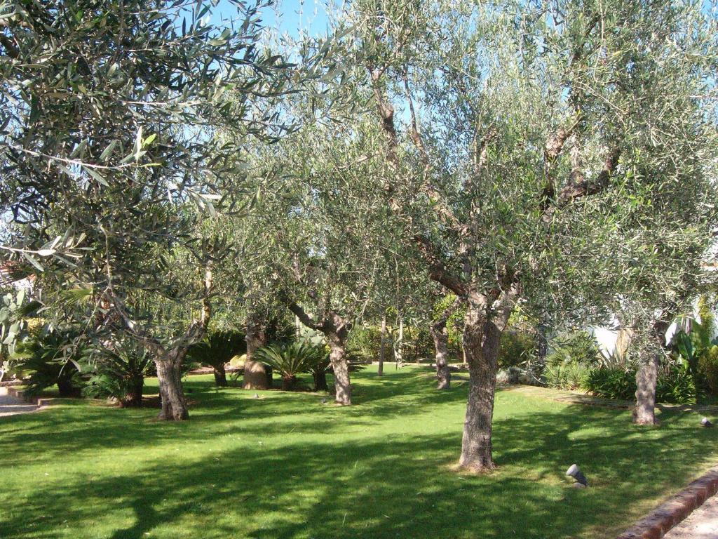 Il Giardino Del Te Hotel Barletta Luaran gambar