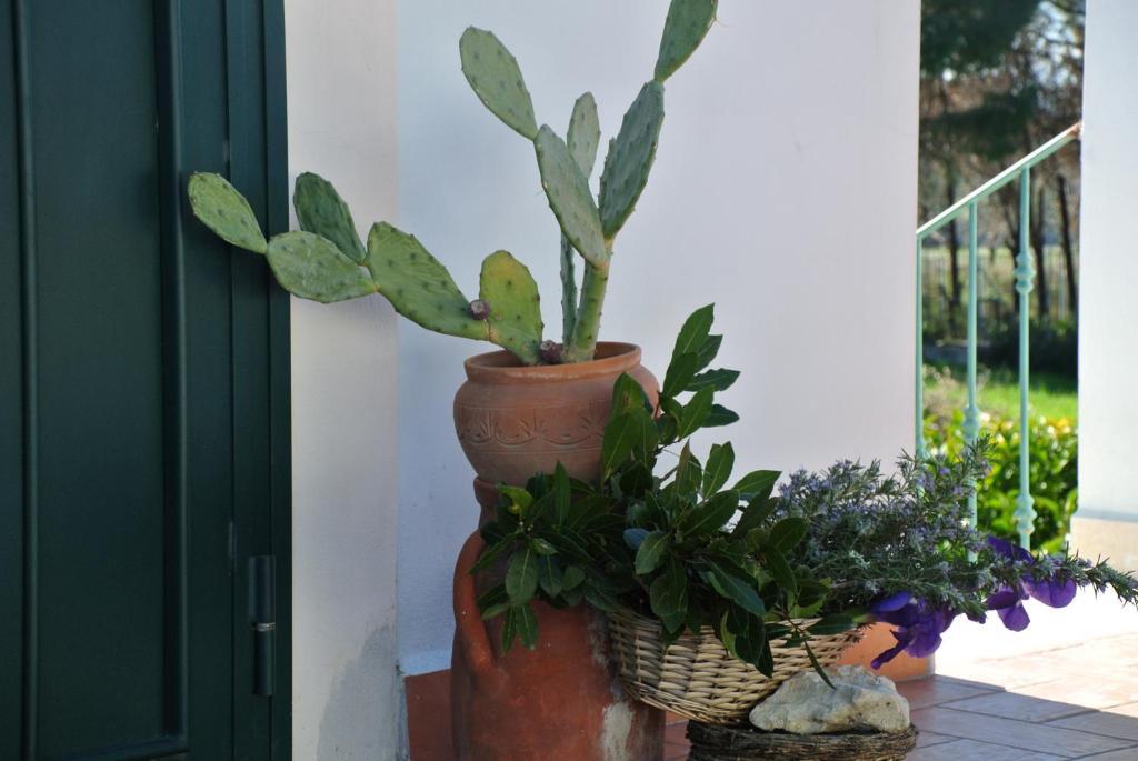 Il Giardino Del Te Hotel Barletta Bilik gambar