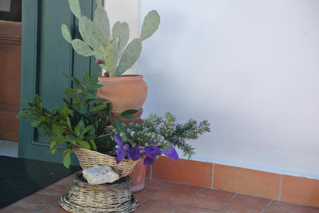 Il Giardino Del Te Hotel Barletta Luaran gambar
